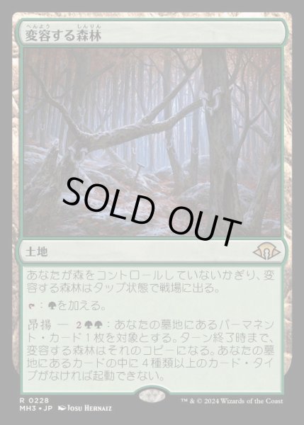 画像1: [EX+](FOIL)変容する森林/Shifting Woodland《日本語》【MH3】 (1)