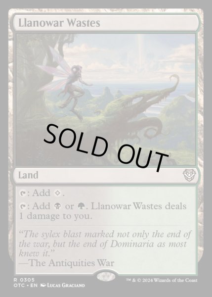 画像1: ラノワールの荒原/Llanowar Wastes《英語》【OTC】 (1)