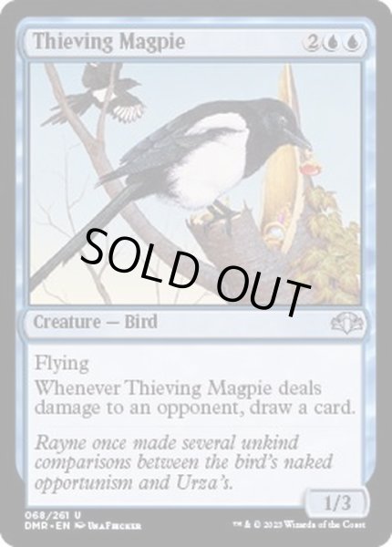 画像1: (FOIL)泥棒カササギ/Thieving Magpie《英語》【DMR】 (1)