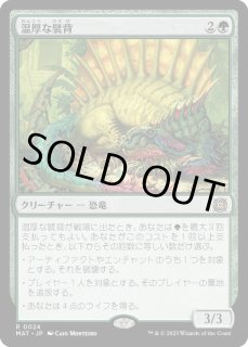 温厚な襞背 - カードラッシュ[MTG]