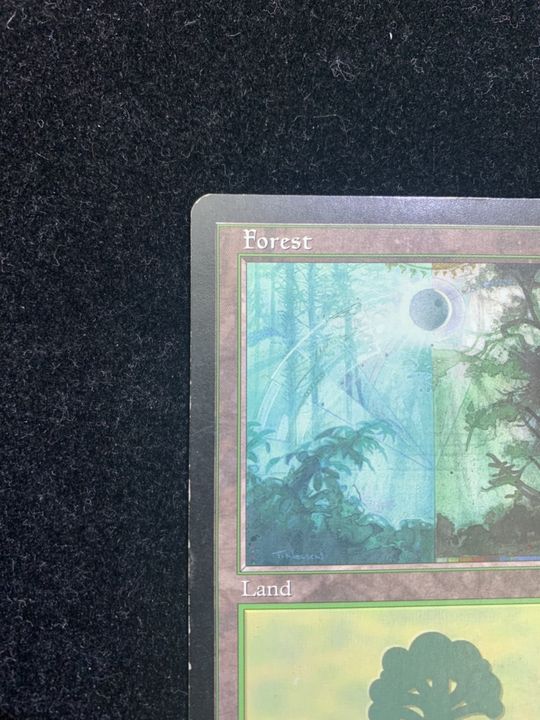 安い通販できます MTG 森/Forest グルランド/Guruランド おもちゃ